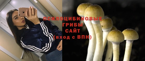 молекула духа Горняк