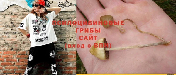 молекула духа Горняк