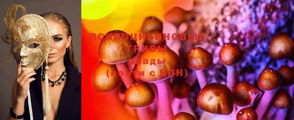 амф Горно-Алтайск