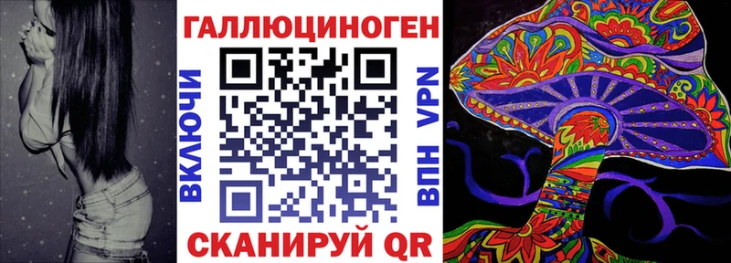 Галлюциногенные грибы Psilocybine cubensis  мега зеркало  Елец 