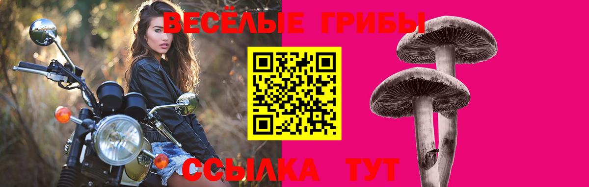Псилоцибиновые грибы Cubensis  Галлюциногенные грибы Psilocybine cubensis  Елец  Вход с VPN 